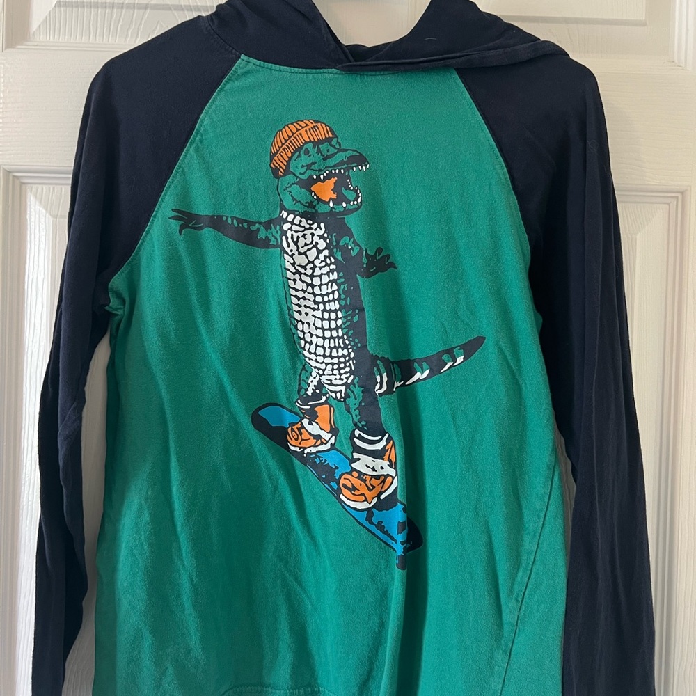 Kids Gymboree Green and Navy Dinosaur Pullover/Lightweight Hoodie Size Small
